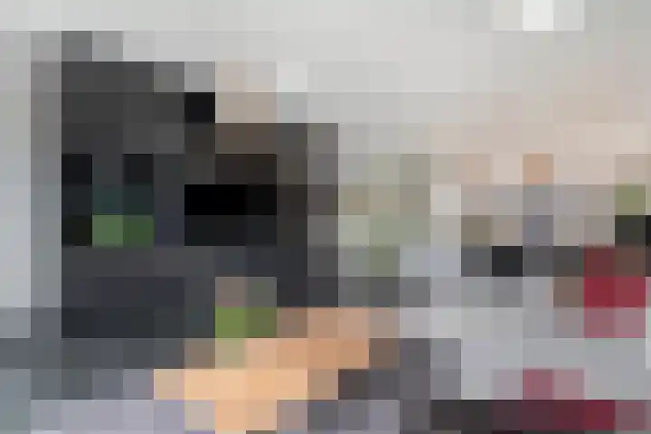 Buntheide 13 Prinsenbeek thumbnail 8