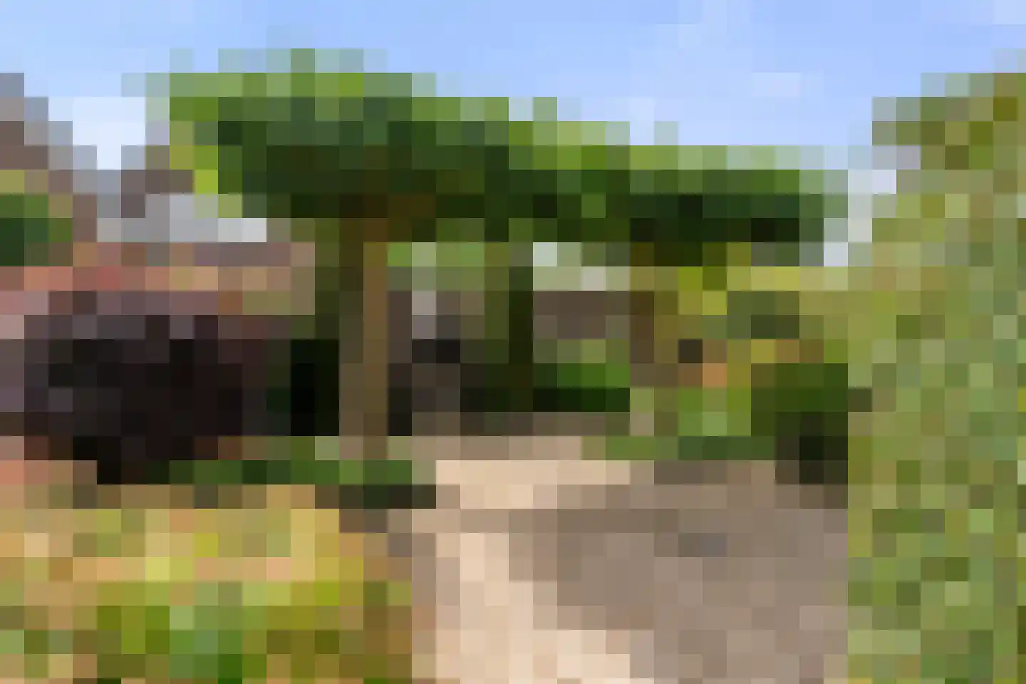 Bunthoeve 4 Bennekom thumbnail 14
