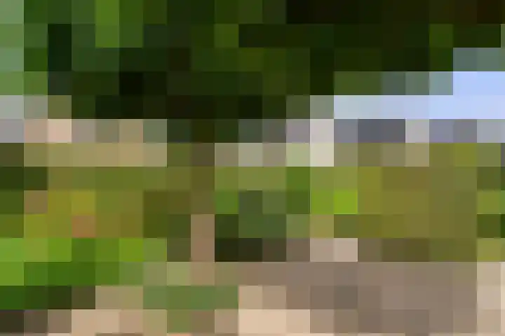 Bunthoeve 4 Bennekom thumbnail 15