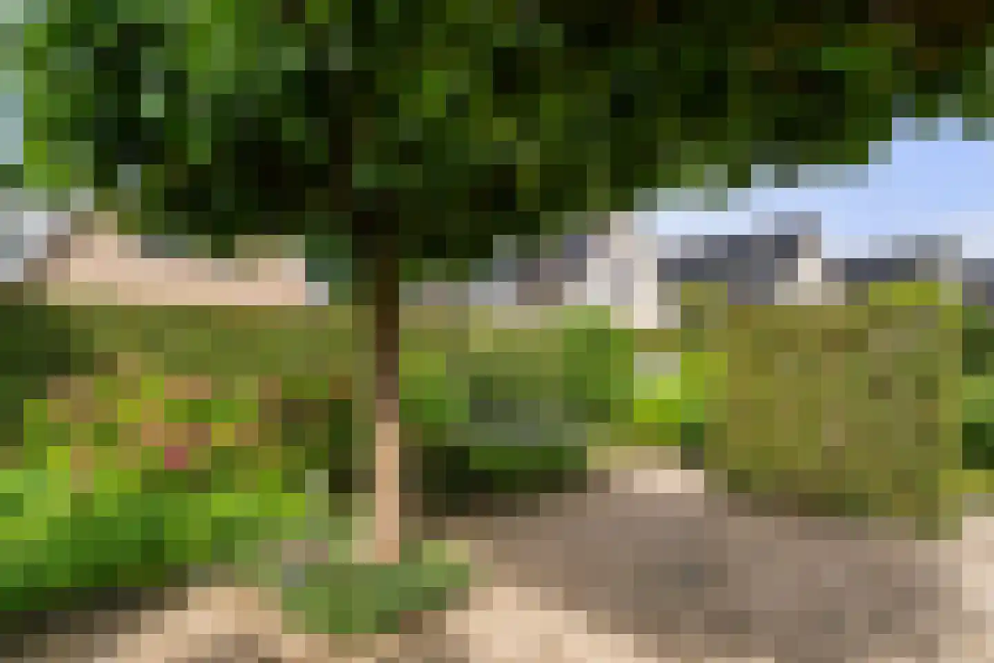 Bunthoeve 4 Bennekom thumbnail 15