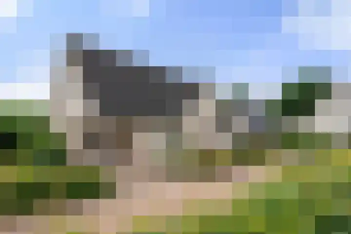 Bunthoeve 4 Bennekom foto 2