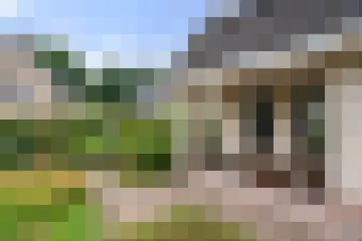 Bunthoeve 4 Bennekom thumbnail 24