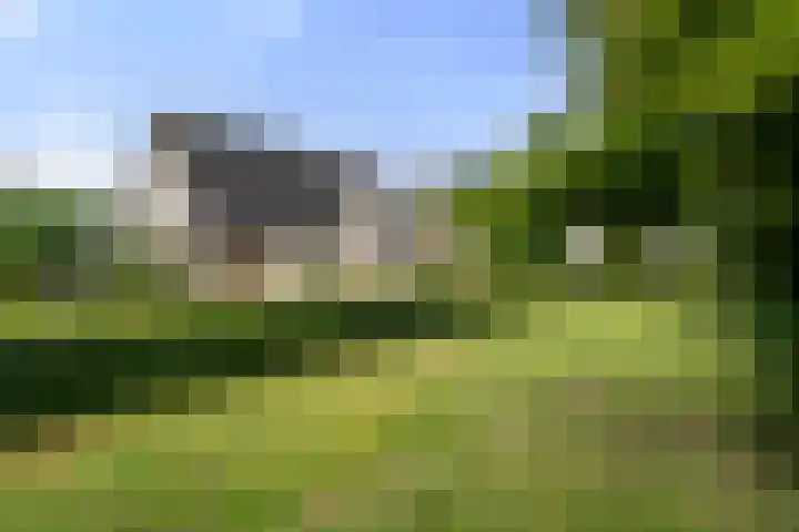 Bunthoeve 4 Bennekom foto 3