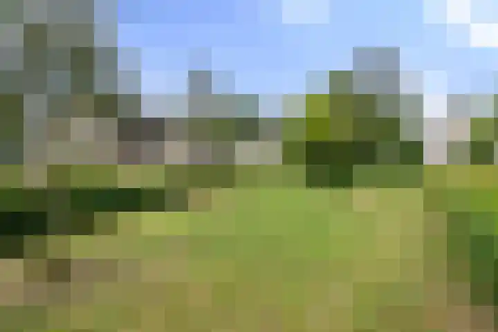 Bunthoeve 4 Bennekom thumbnail 4