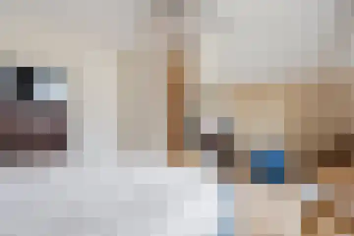 Bunthoeve 4 Bennekom thumbnail 42