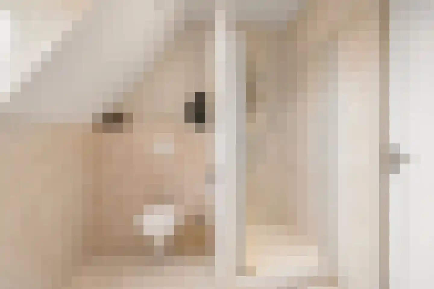 Bunthoeve 4 Bennekom thumbnail 46