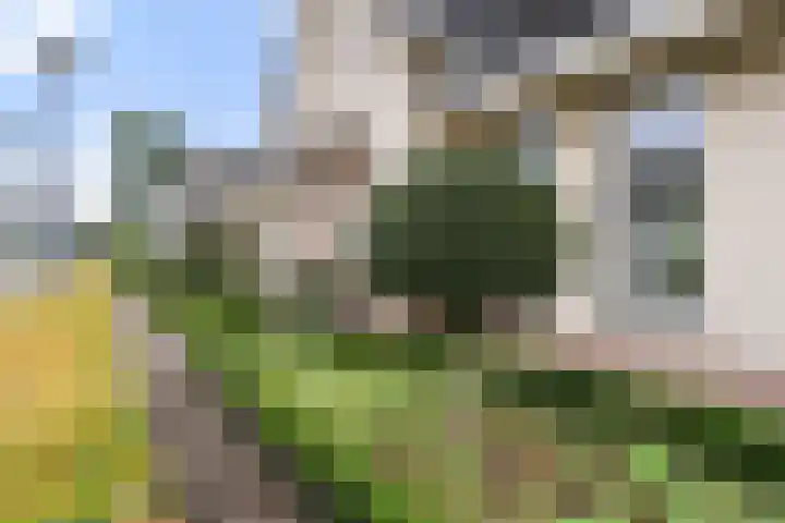 Bunthoeve 4 Bennekom thumbnail 9