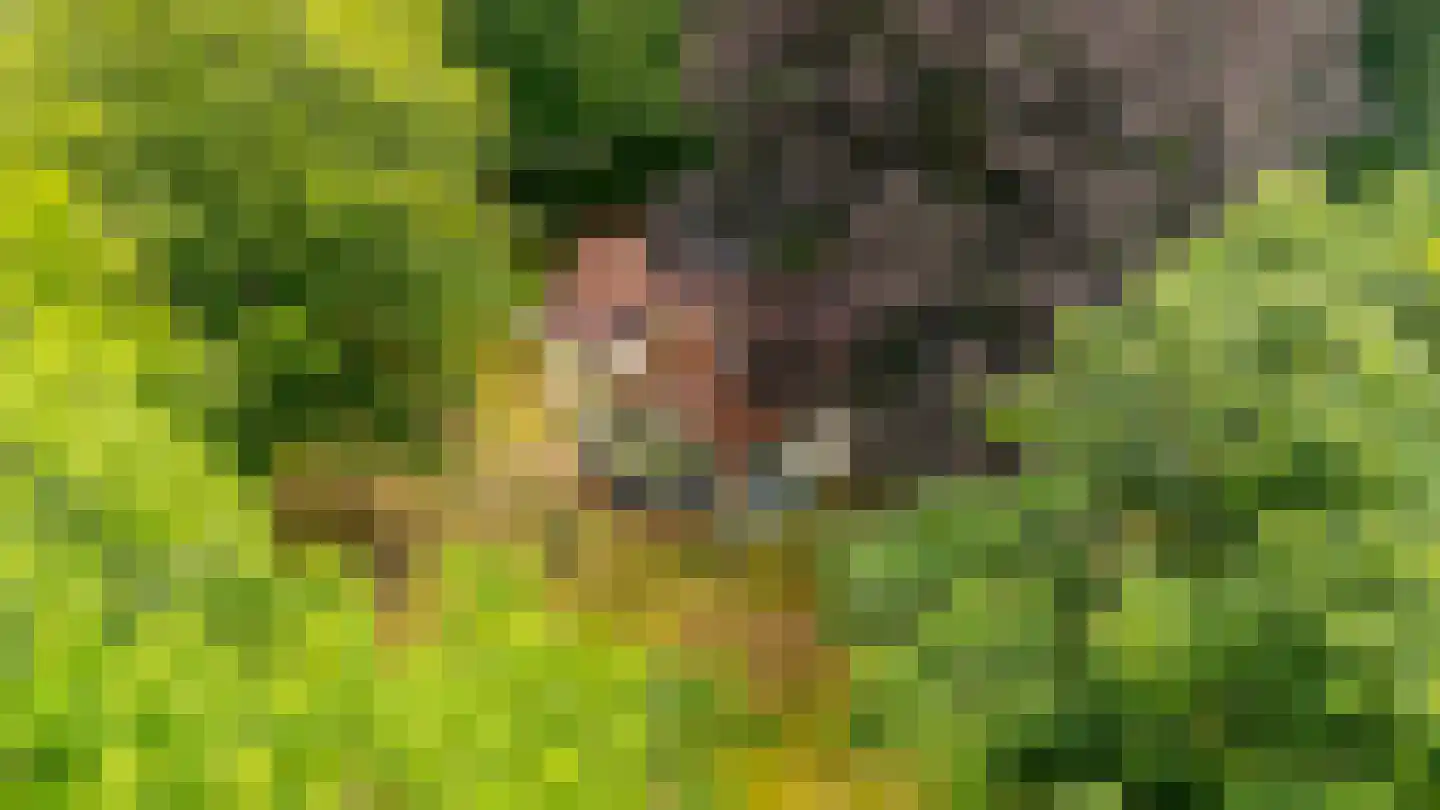 Buntlaan 1 Driebergen-Rijsenburg thumbnail 10