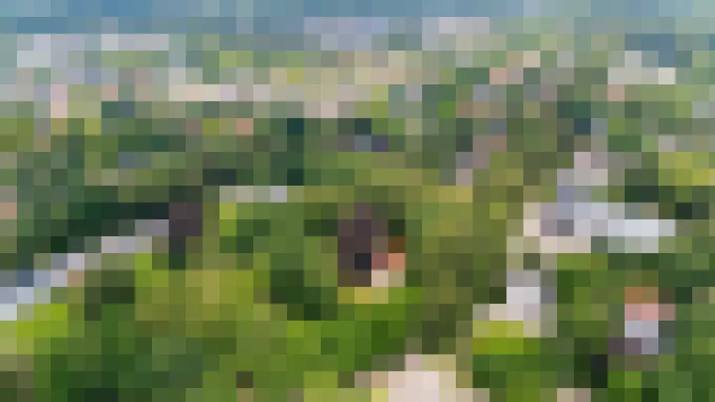 Buntlaan 1 Driebergen-Rijsenburg thumbnail 11