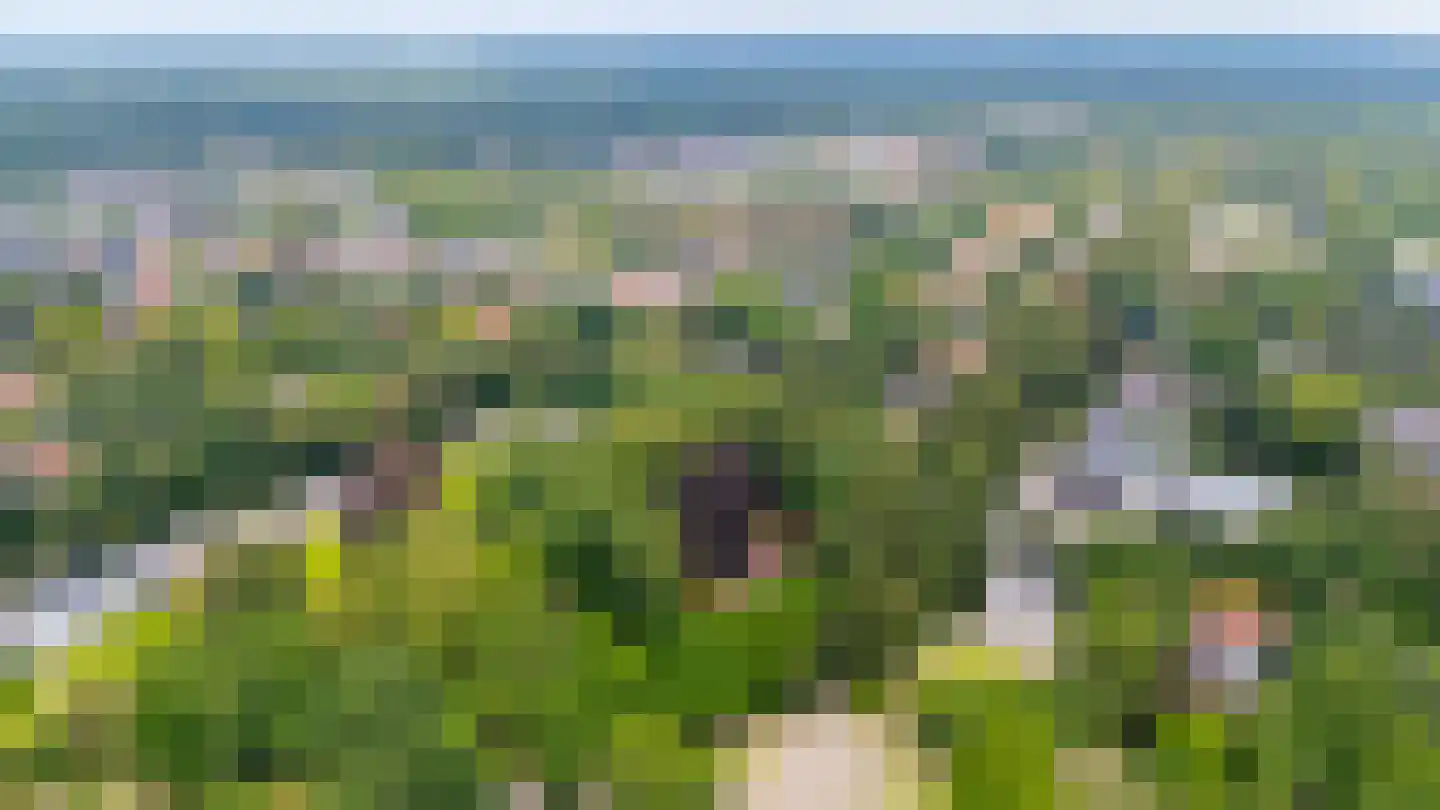 Buntlaan 1 Driebergen-Rijsenburg thumbnail 14