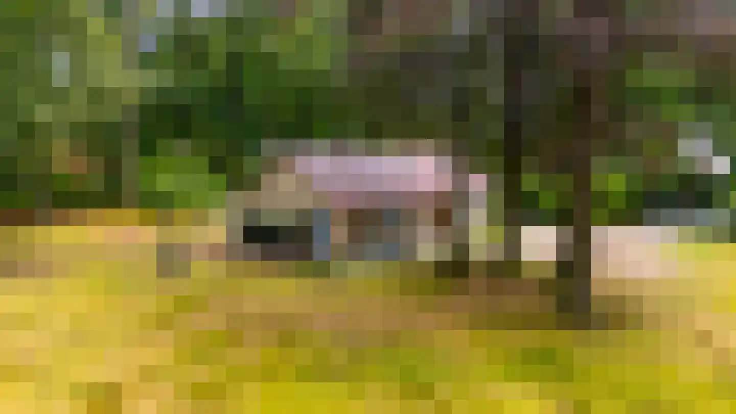 Buntlaan 1 Driebergen-Rijsenburg thumbnail 9