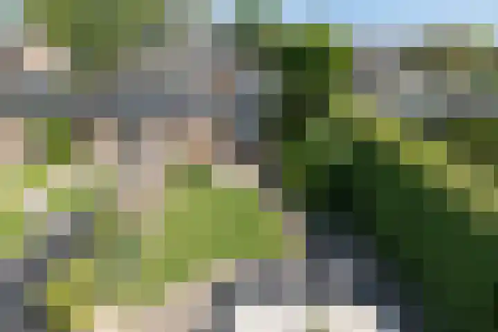 Buntlaan 13 Maarn thumbnail 22