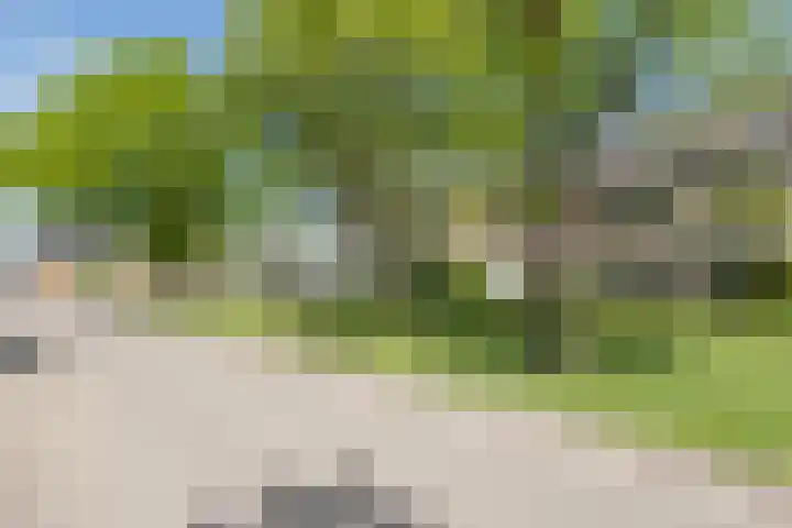 Buntlaan 13 Maarn thumbnail 50