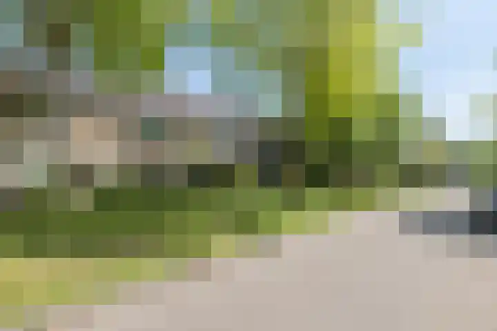 Buntlaan 13 Maarn thumbnail 51