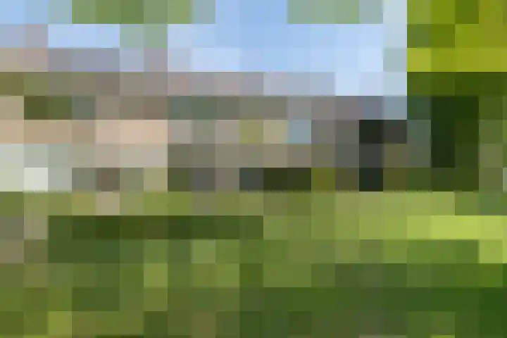Buntlaan 13 Maarn thumbnail 56