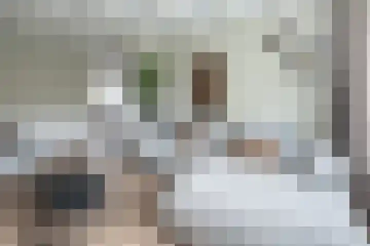 Buntlaan 13 Maarn thumbnail 6