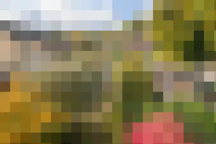 Buntlaan 18 Maarn thumbnail 19