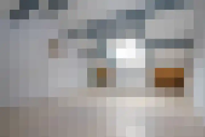 Buntlaan 18 Maarn thumbnail 22