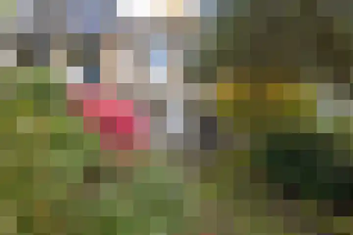 Buntlaan 18 Maarn thumbnail 25