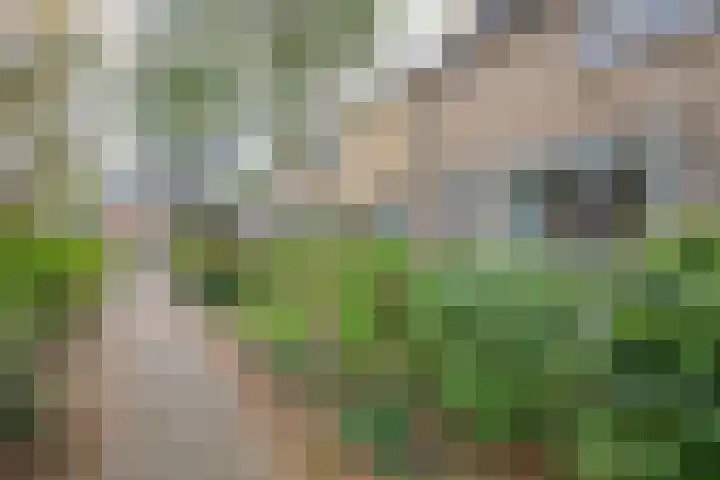 Buntlaan 18 Maarn thumbnail 30