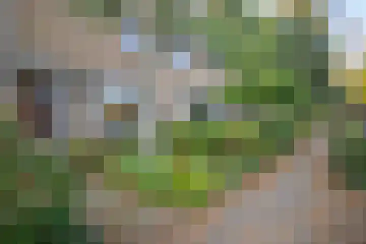 Buntlaan 18 Maarn thumbnail 31