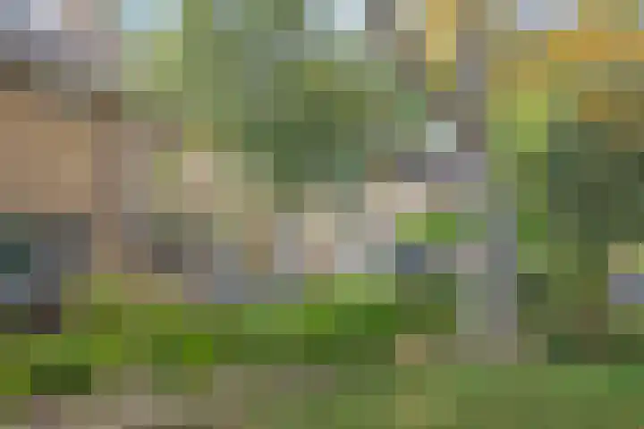 Buntlaan 18 Maarn thumbnail 32
