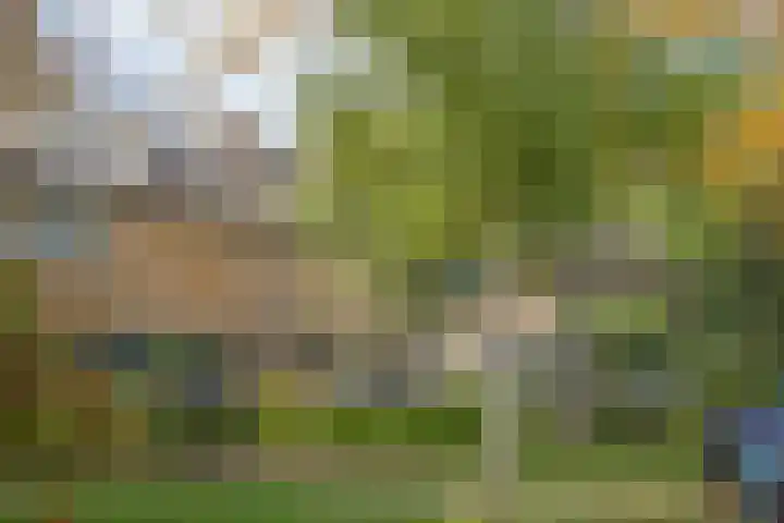 Buntlaan 18 Maarn thumbnail 33