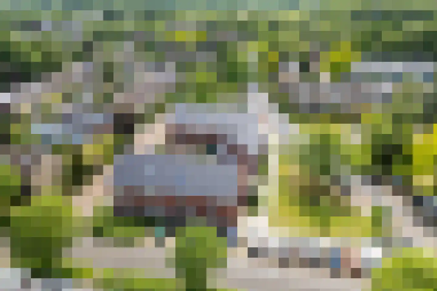Buntlaan 44 Maarn thumbnail 37
