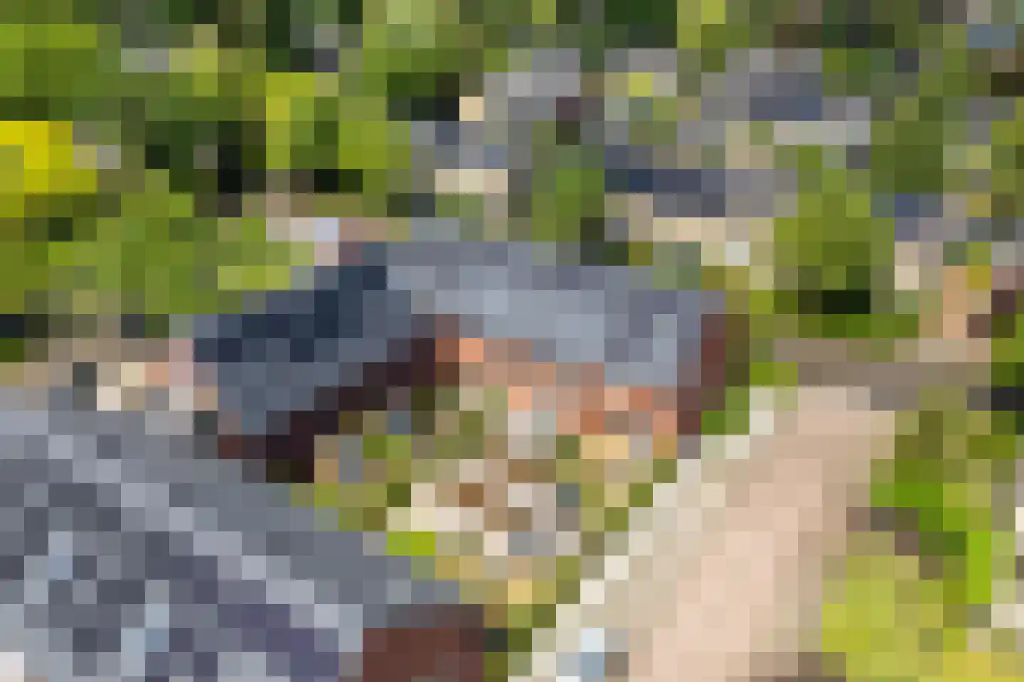 Buntlaan 44 Maarn thumbnail 38