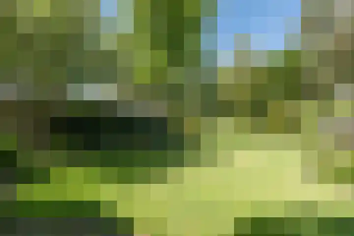 Buntlaan 49 Driebergen-Rijsenburg thumbnail 30
