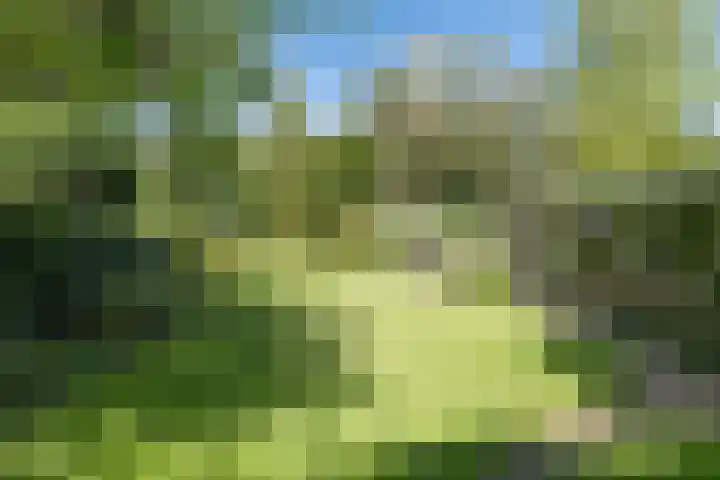 Buntlaan 49 Driebergen-Rijsenburg thumbnail 32