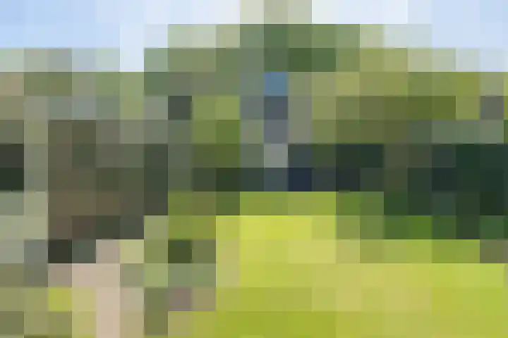 Buntlaan 49 Driebergen-Rijsenburg thumbnail 33
