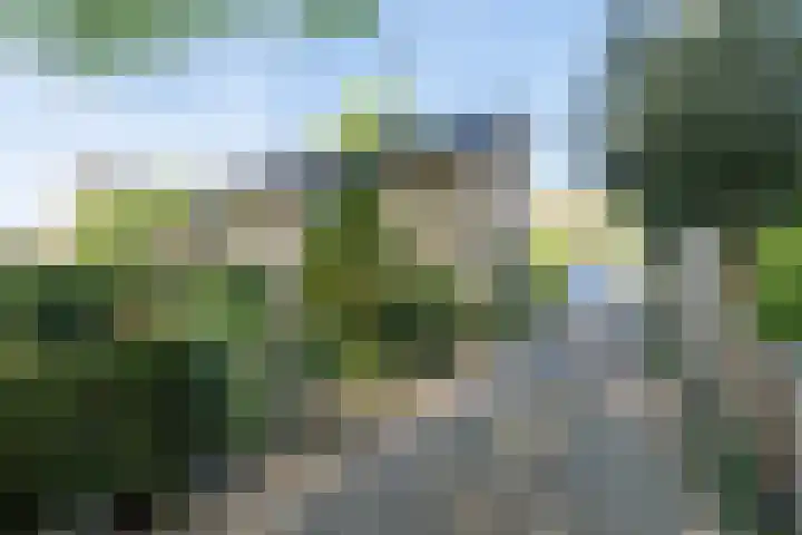 Buntlaan 49 Driebergen-Rijsenburg thumbnail 37