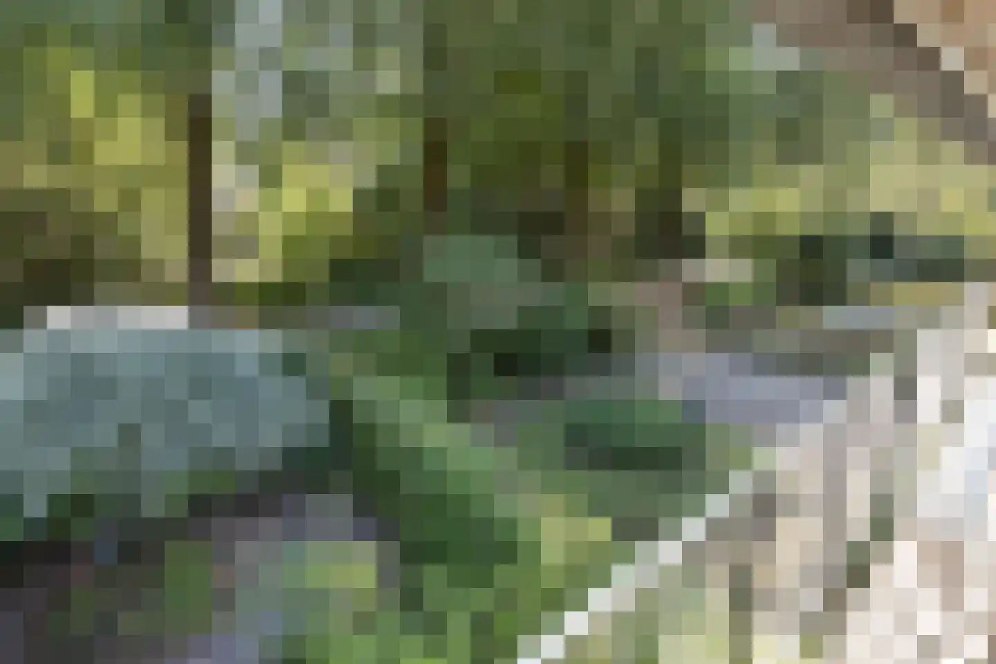 Buntlaan 73 Driebergen-Rijsenburg thumbnail 26