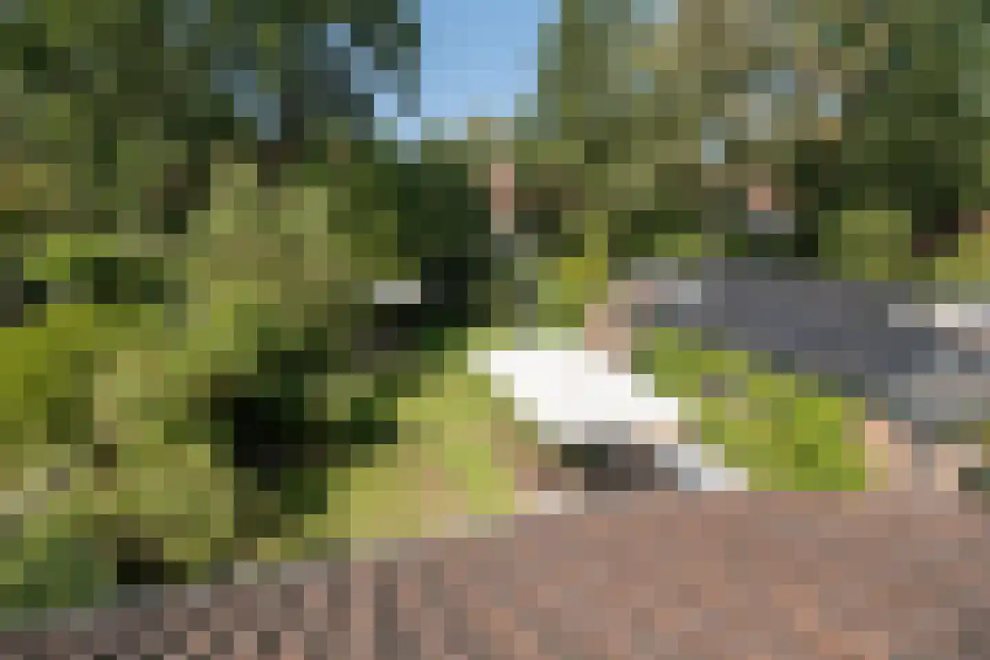 Buntlaan 73 Driebergen-Rijsenburg thumbnail 33