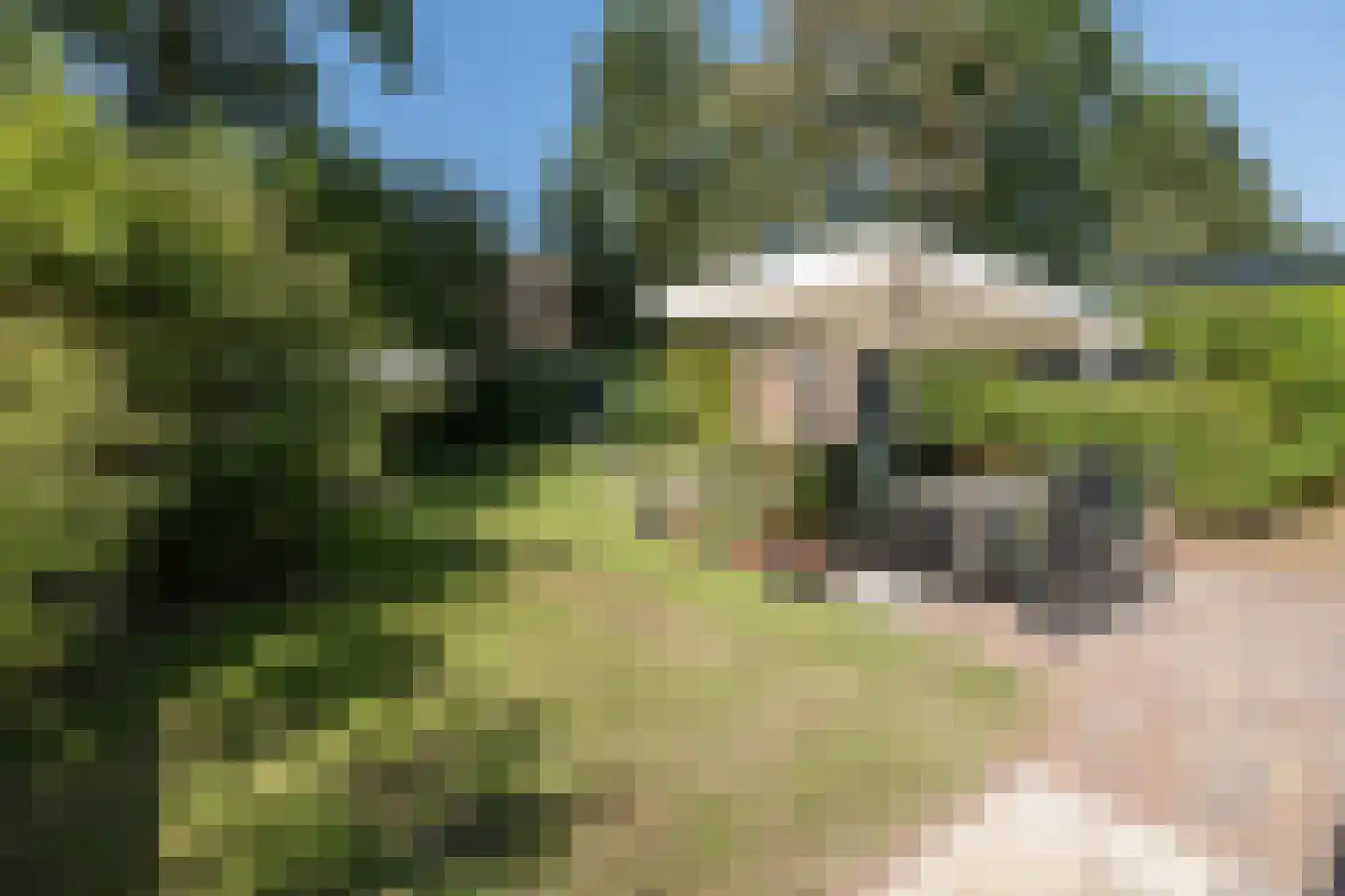 Buntlaan 73 Driebergen-Rijsenburg thumbnail 41