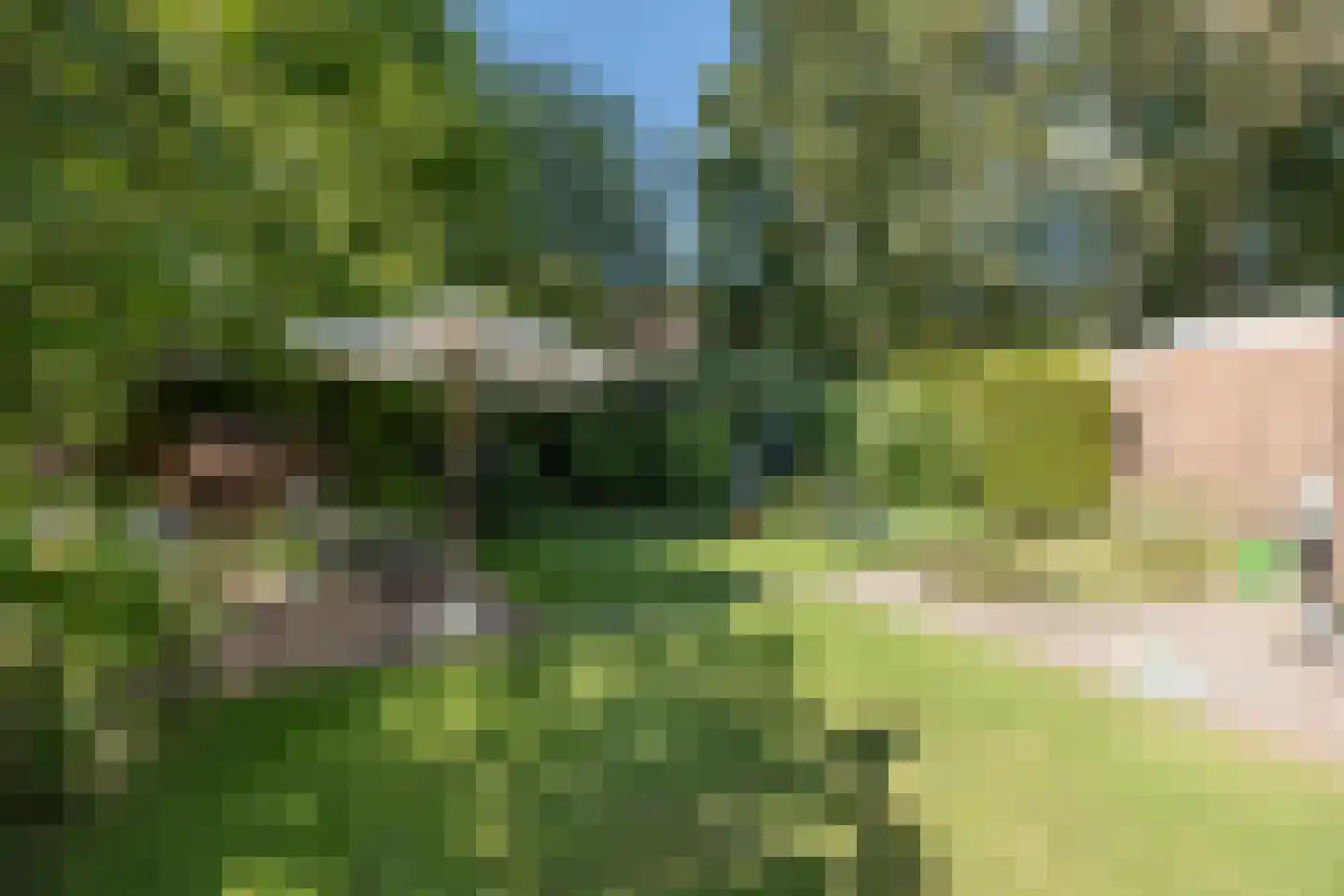 Buntlaan 73 Driebergen-Rijsenburg thumbnail 43