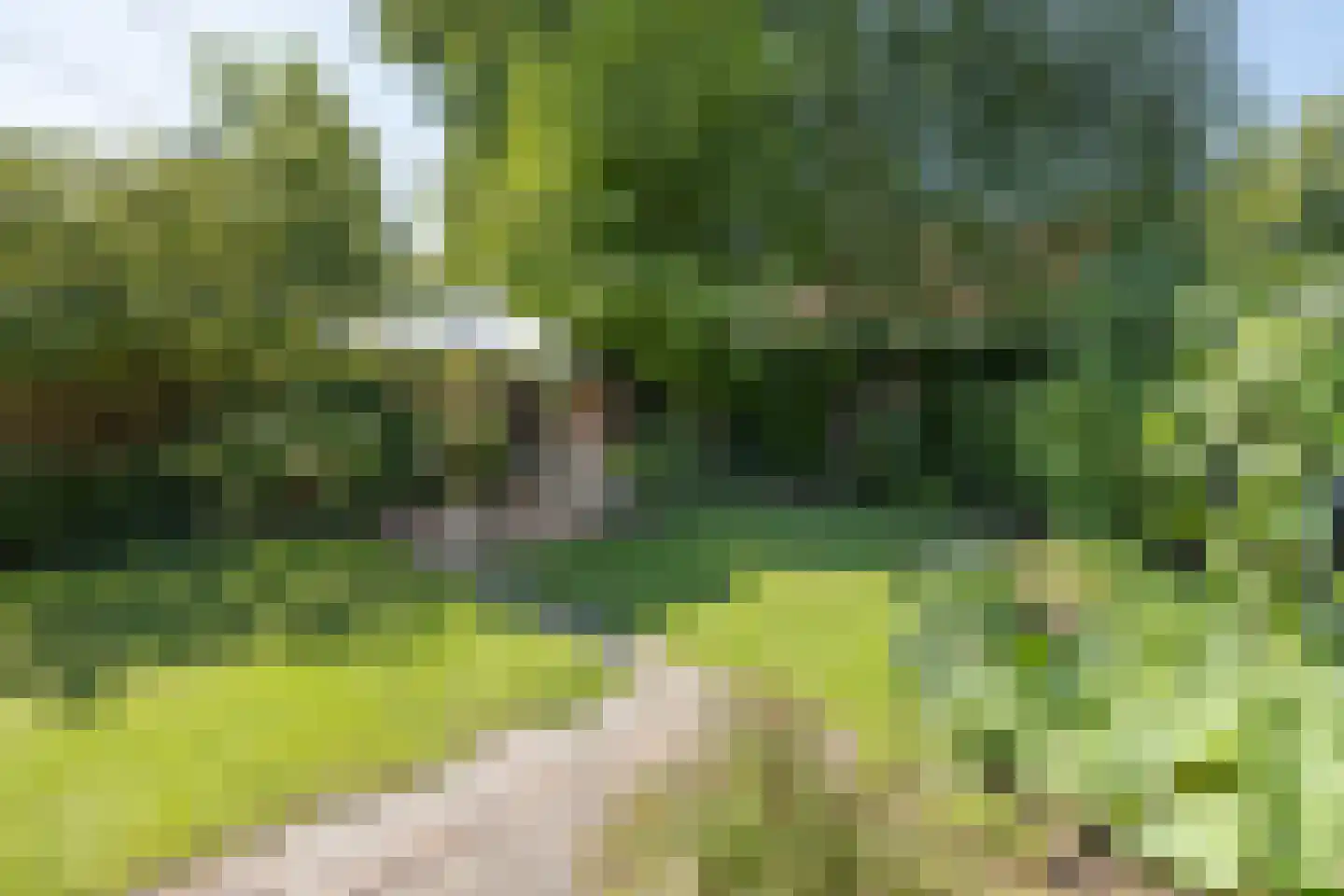 Buntlaan 73 Driebergen-Rijsenburg thumbnail 46