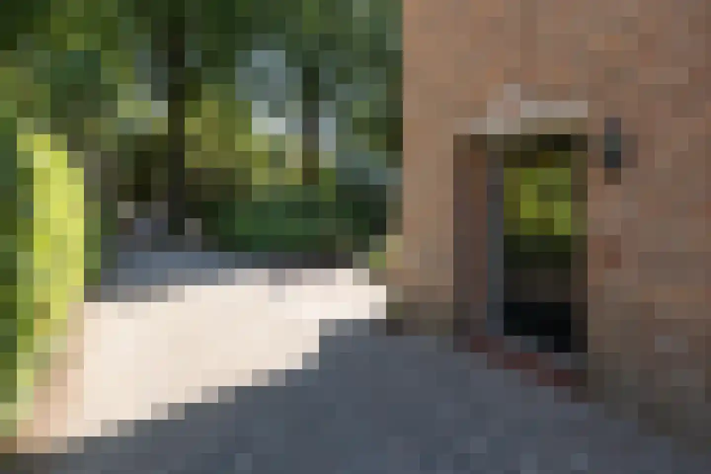 Buntlaan 73 Driebergen-Rijsenburg thumbnail 48