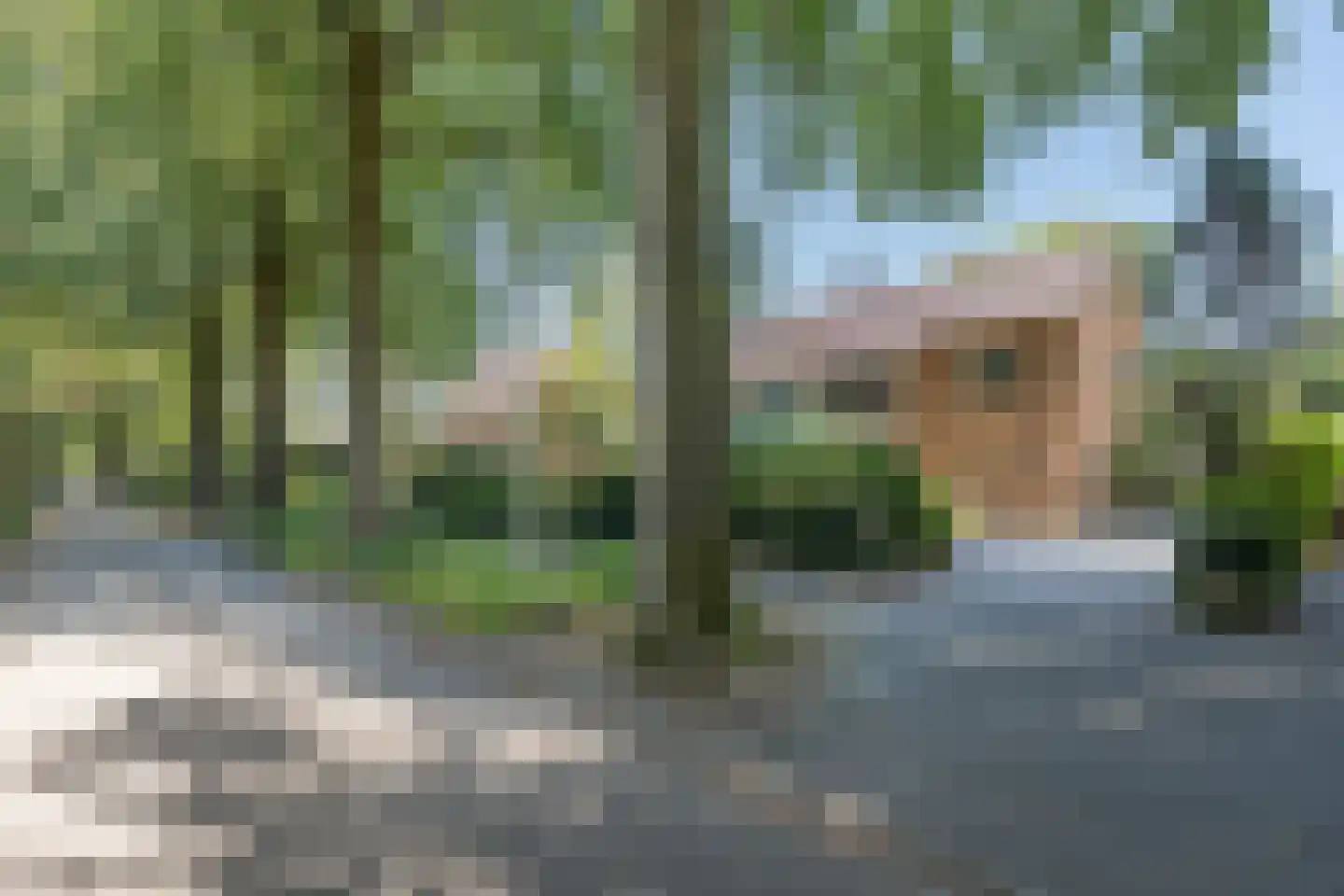 Buntlaan 73 Driebergen-Rijsenburg thumbnail 51