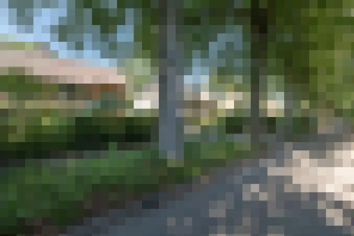 Buntlaan 73 Driebergen-Rijsenburg thumbnail 52
