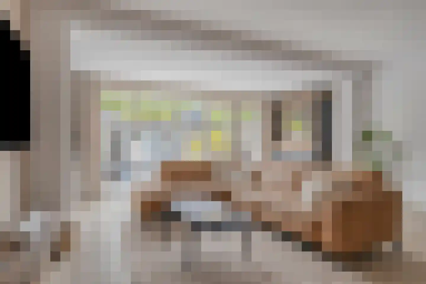 Buntlaar 23 Terheijden thumbnail 11