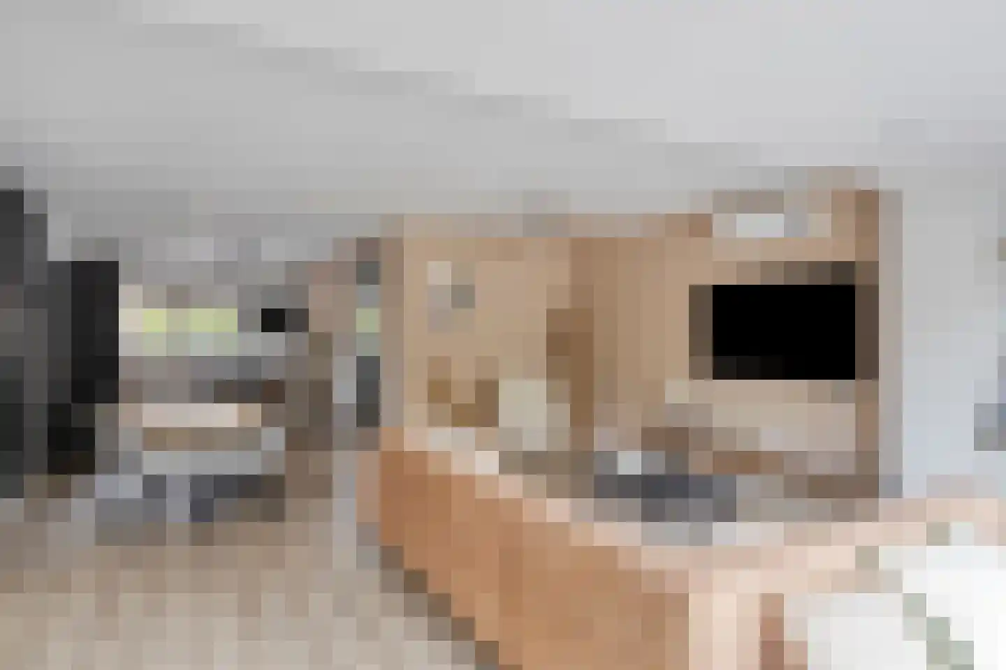Buntlaar 23 Terheijden thumbnail 16