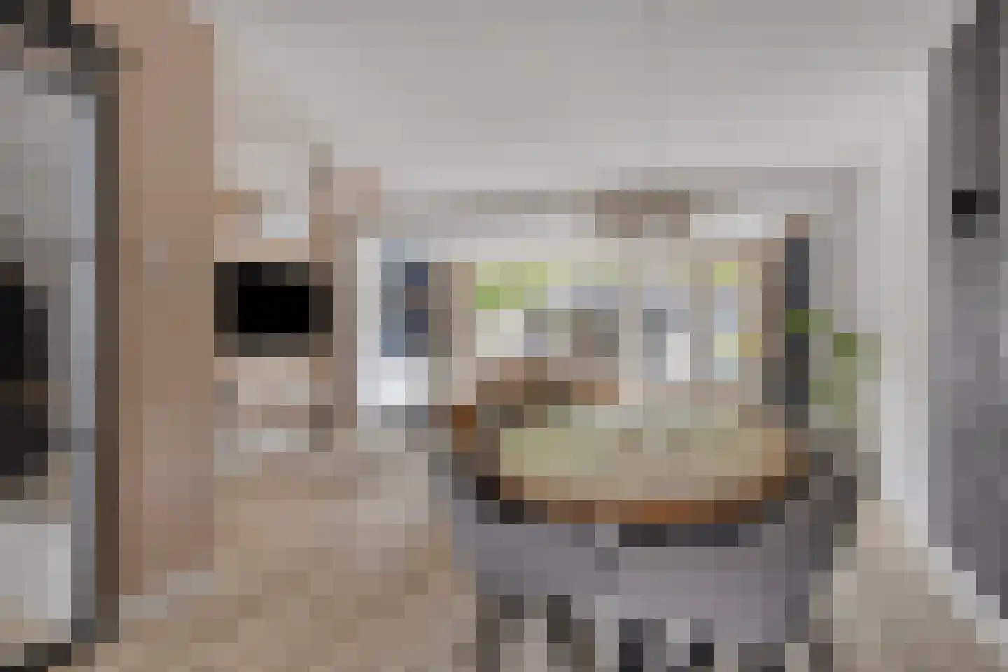 Buntlaar 23 Terheijden thumbnail 18