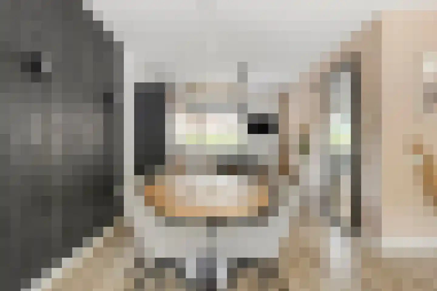 Buntlaar 23 Terheijden thumbnail 19