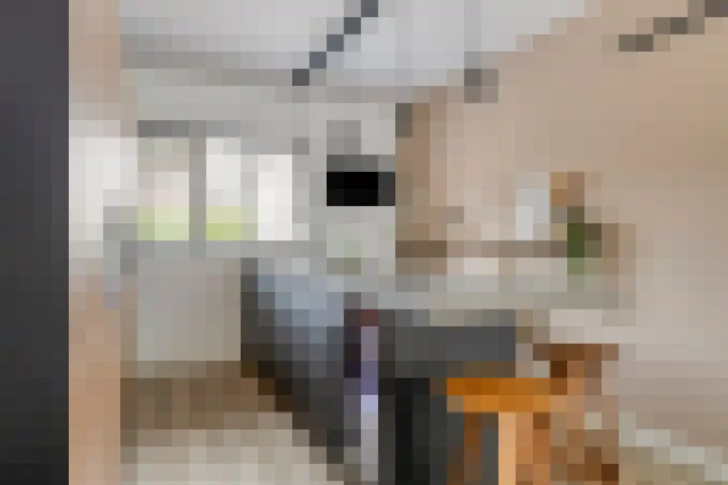 Buntlaar 23 Terheijden thumbnail 23