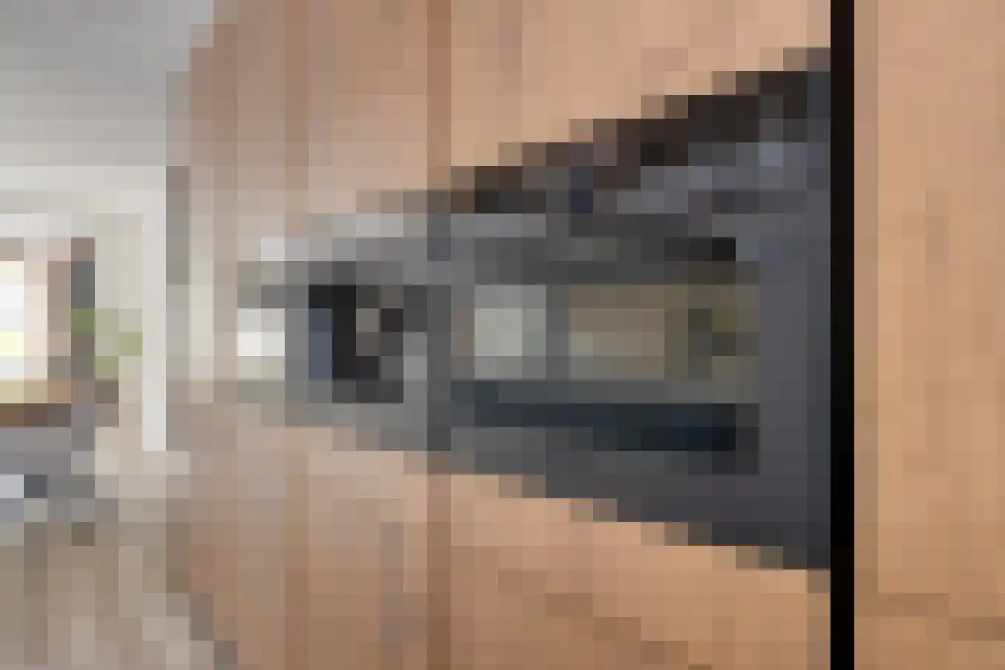 Buntlaar 23 Terheijden thumbnail 25