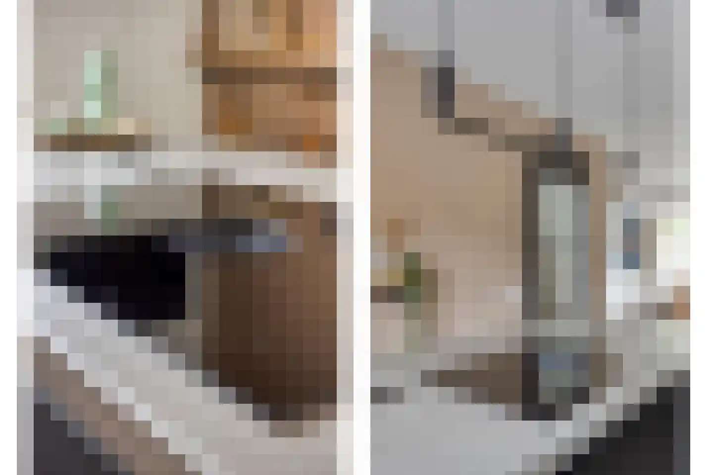 Buntlaar 23 Terheijden thumbnail 27