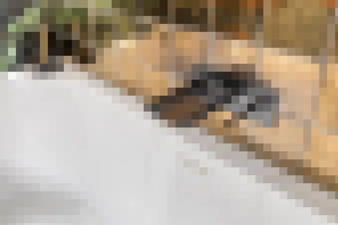 Buntlaar 23 Terheijden thumbnail 36