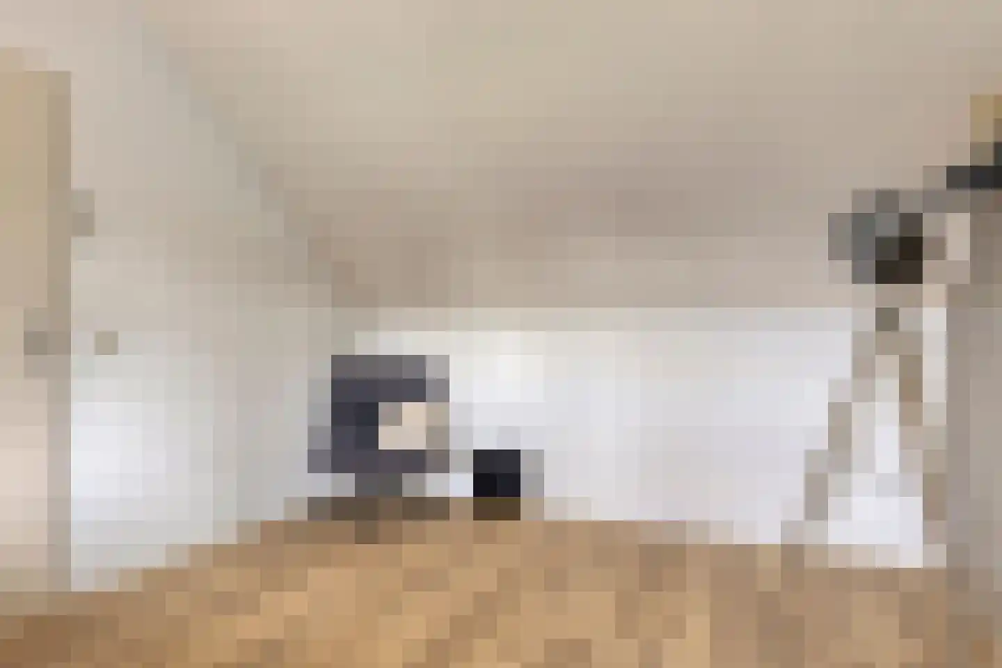 Buntlaar 23 Terheijden thumbnail 46